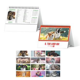 H/12 (CANI E GATTI) Personalizzato